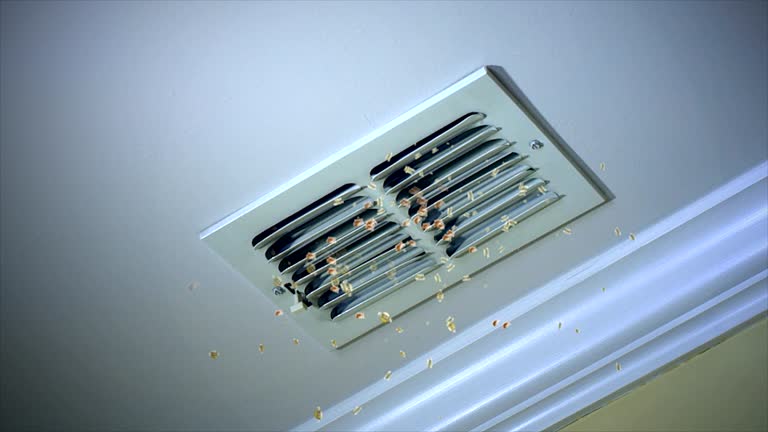 Professional Airduct Cleaning in Dinuba, CA