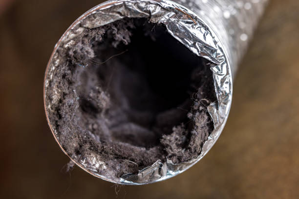 Best Affordable Duct Cleaning Services  in Dinuba, CA